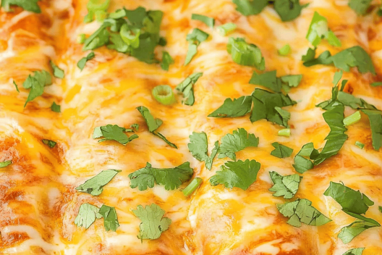 Bean and Cheese Enchiladas