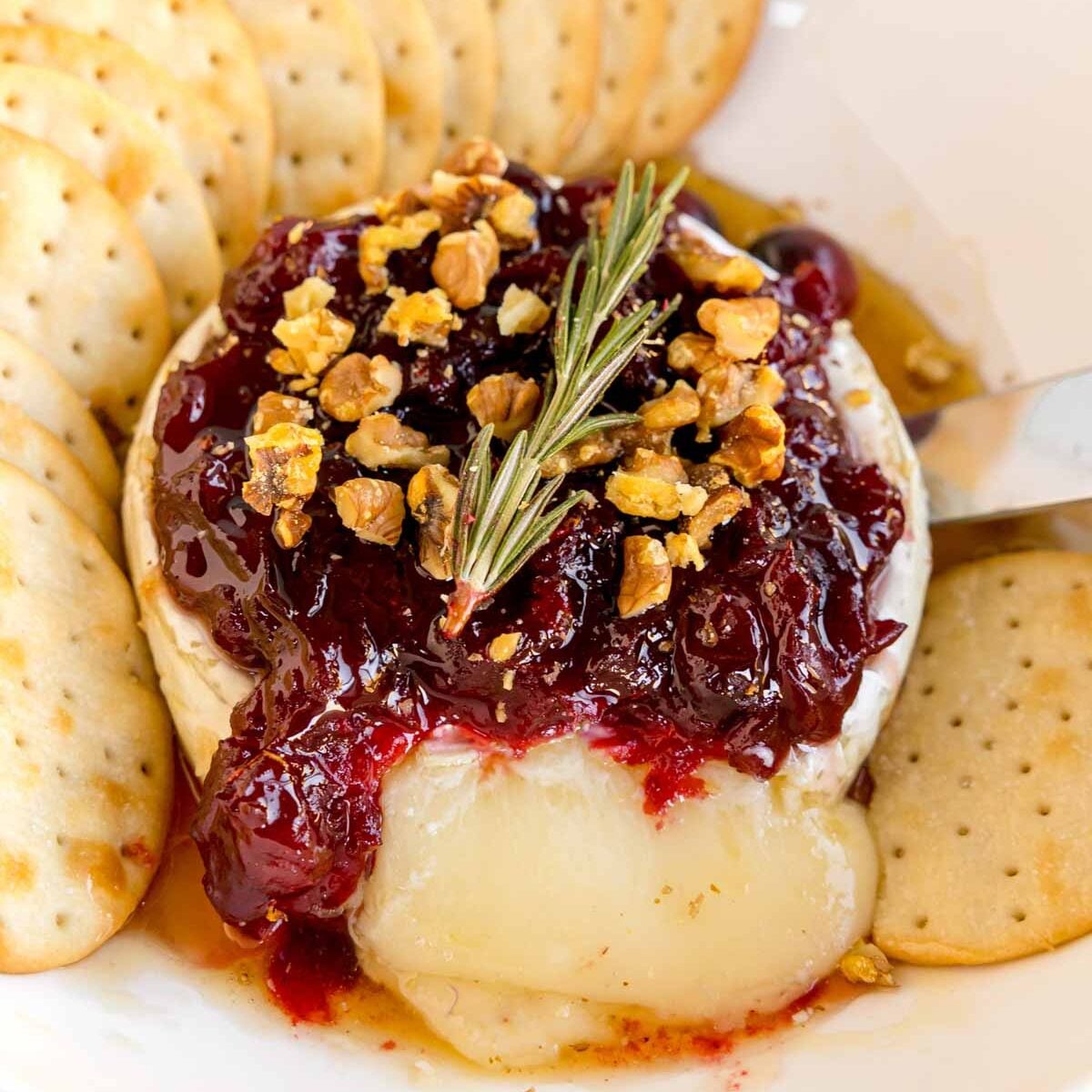 Baked Brie with Honey and Cranberry Sauce beautifully presented from an overhead angle